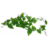 Lucky Reptile Jungle Vine