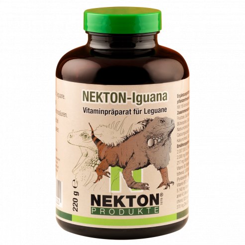 NEKTON Iguana
