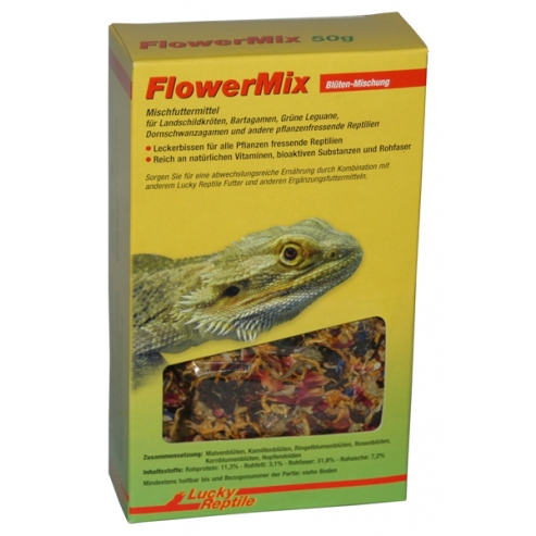 Lucky Reptile Flower Mix