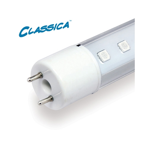Arcadia Classica LED T8 Tropical