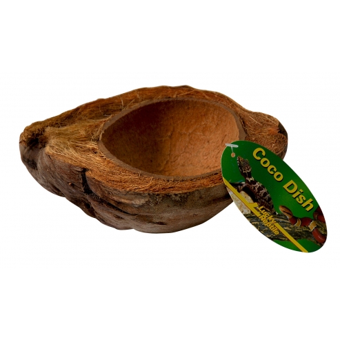 Lucky Reptile Coco Dish