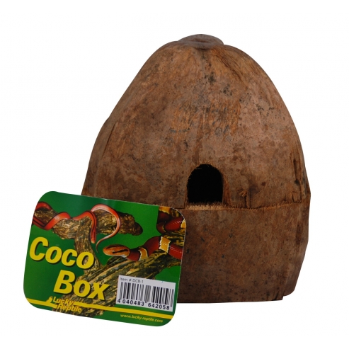 Lucky Reptile Coco Box