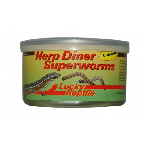 Lucky Reptile Herp Diner Superworms 35g