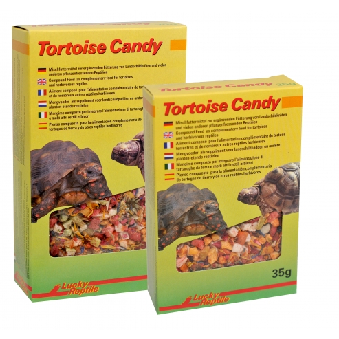 Lucky Reptile Tortoise Candy