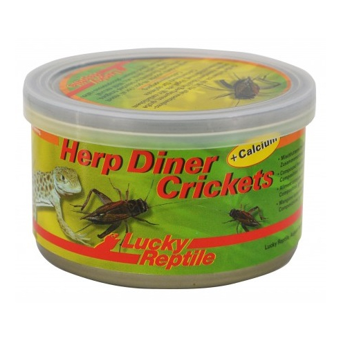 Lucky Reptile Herp Diner - svrčky 35g