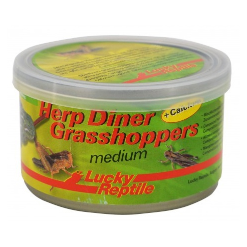 Lucky Reptile Herp Diner - saranče 35 g