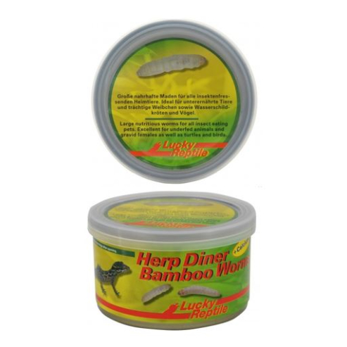 Lucky Reptile Herp Diner -bambusové červy 35 g