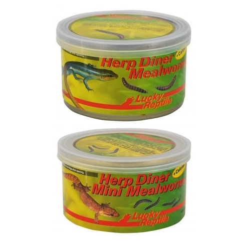 Lucky Reptile Herp Diner - múčne červy 35g