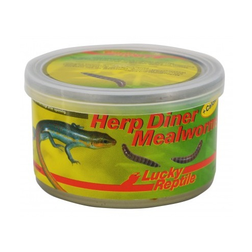 Lucky Reptile Herp Diner - múčne červy 35g