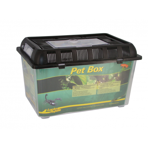 Lucky Reptile Pet Box