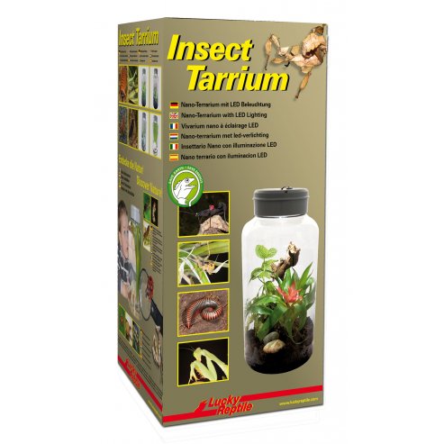 Lucky Reptile Insect Tarrium 5l