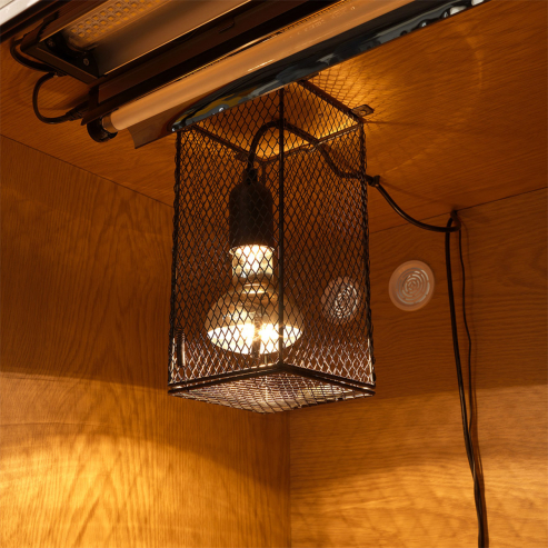 HabiStat Heater Guard