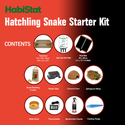 HabiStat Hatchling Snake Starter Kit