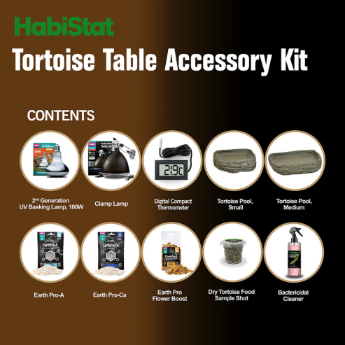 HabiStat Tortoise Starter Kit