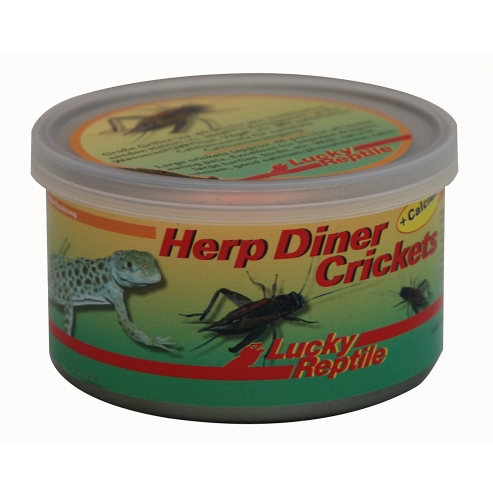 Lucky Reptile Herp Diner - svrčky 35g