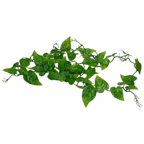 Lucky Reptile Jungle Vine